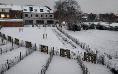 Woningen – Blankenberge: sneeuwpret